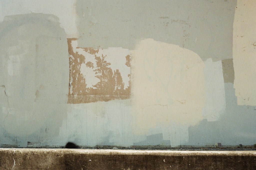 Photograph of paint on a wall. The paint is in various shades of brown and tan.