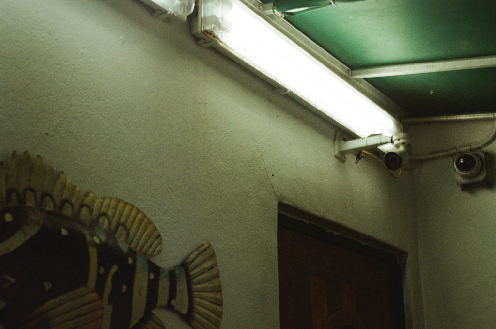 Photograph of an exterior wall of a building. An electric light and surveillance camera are in the upper right corner. A large fish sign is visible on the wall in the lower left corner.